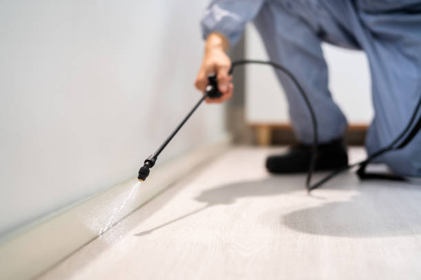 Licensed Mosquito Control service in Conning Towers Nautilus Park, CT - Show Me Pest Control