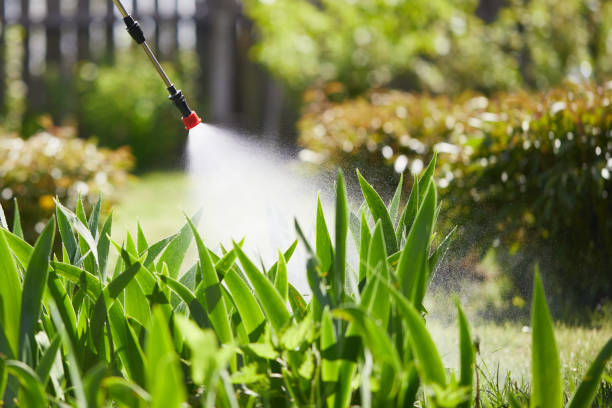 24/7 Emergency Mosquito Control experts in Conning Towers Nautilus Park, CT