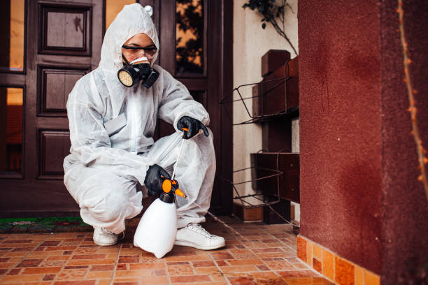 Reliable Mosquito Control contractor in Conning Towers Nautilus Park, CT by Show Me Pest Control
